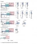 CS-5000CNC и CS-H5000CNC - щупы