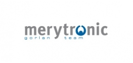 Merytronic логотип